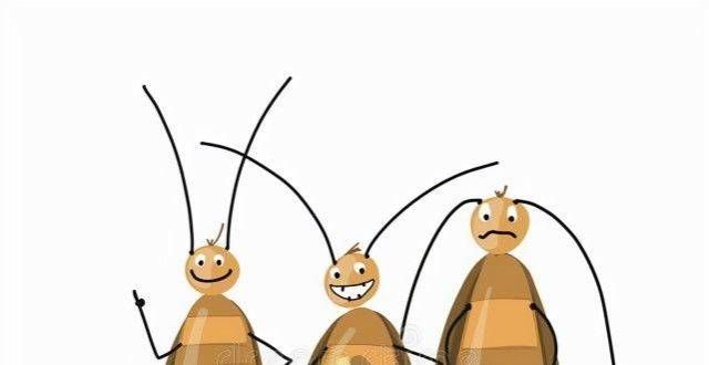 你家有几个12种解决蟑螂的方法，涨见识了，你知道是哪12种吗？这个看