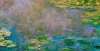 绘画展潘虎莫奈的艺术巅峰之作《睡莲》系列 105幅游当代