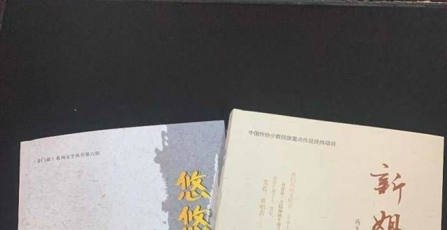湾一角相见马玉珍中短篇小说集《新姐》出版发行韩国瑜