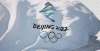 锂低温性能致敬冰雪健儿：一汽红旗举行冬向中国冬奥运动员交车仪式龙蟠科